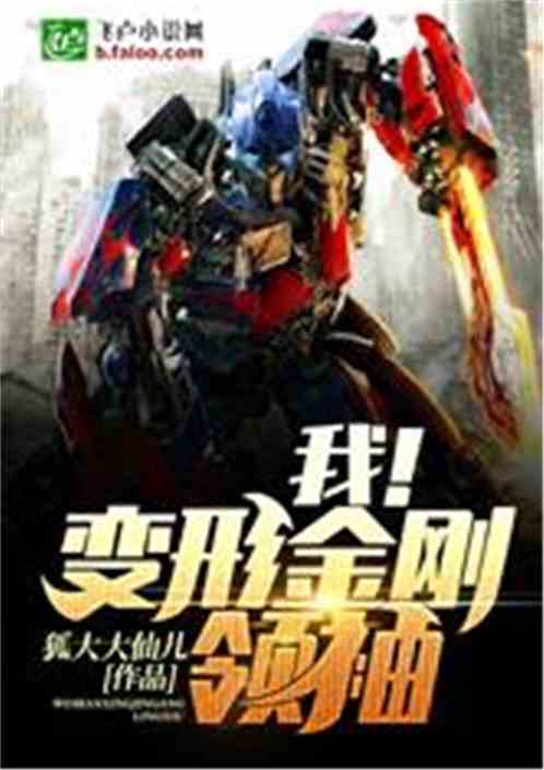 我！变形金刚领袖
