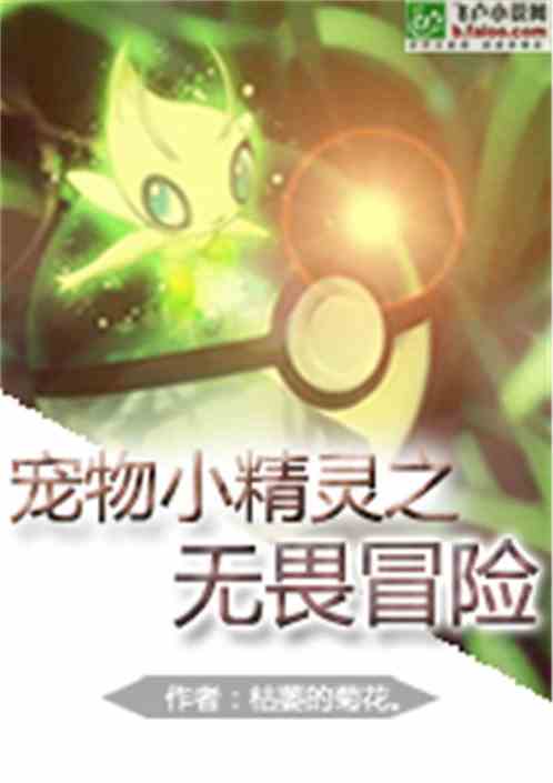 宠物小精灵之无畏冒险