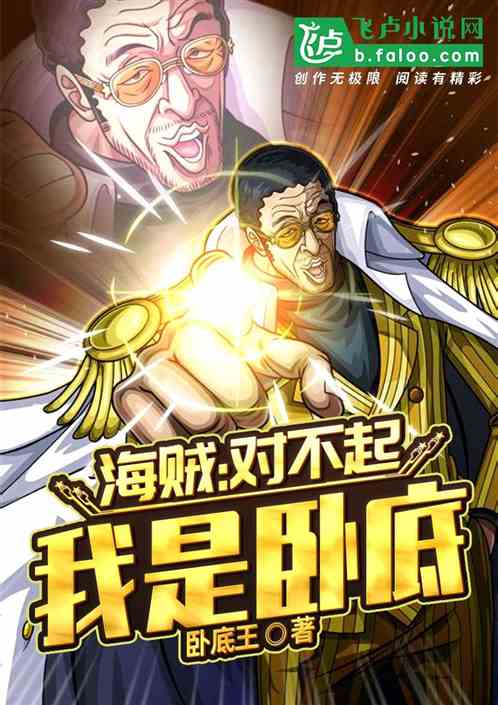 海贼：对不起，我是卧底