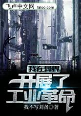 我在异界开展了工业革命