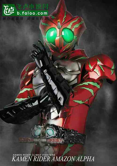 Amazon的骑士之旅